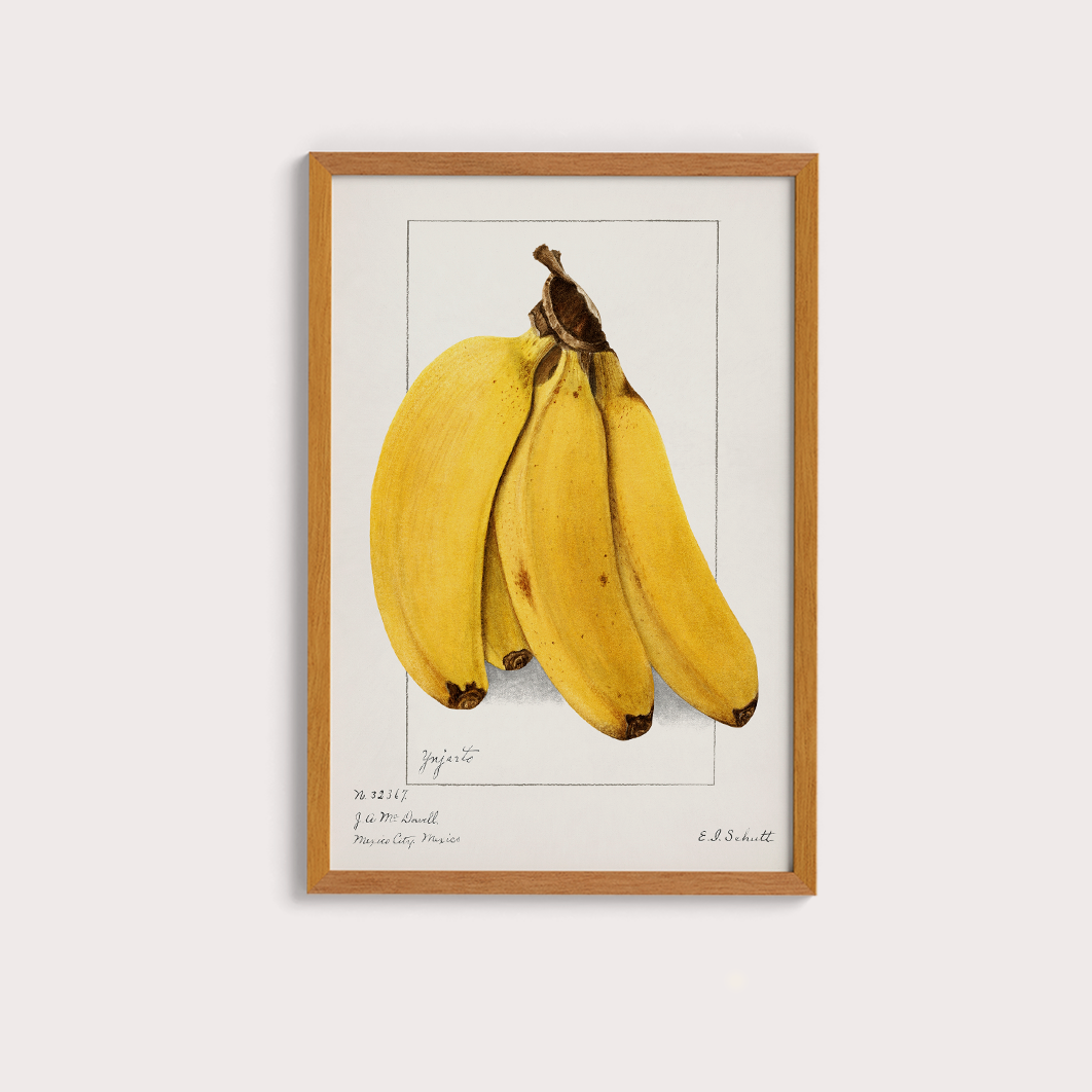 Quadro Banana Vintage tamanho A2 - Pronta Entrega